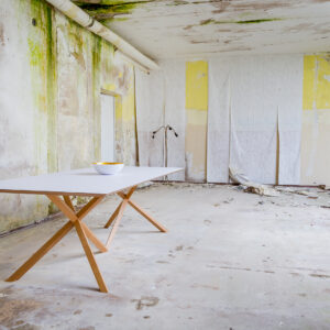 thinx table_0000_D04965-037 1
